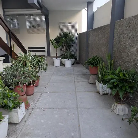 Princess Flower * Funchal (Madeira)